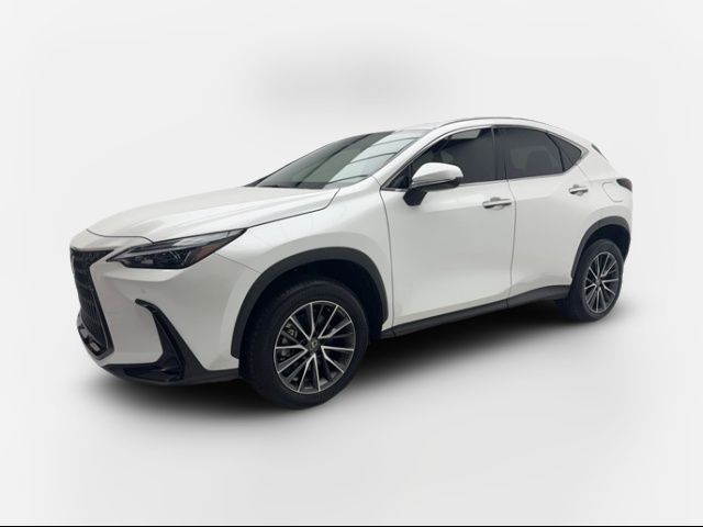 2024 Lexus NX 250 Premium