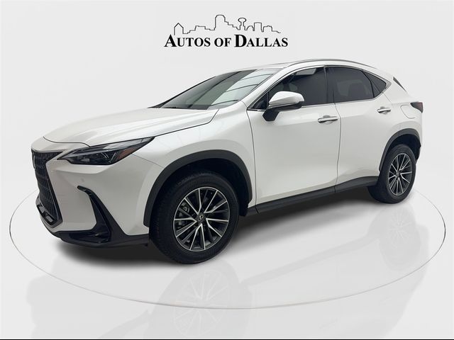 2024 Lexus NX 250 Premium