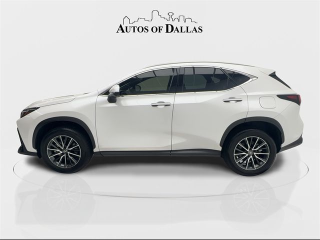 2024 Lexus NX 250 Premium