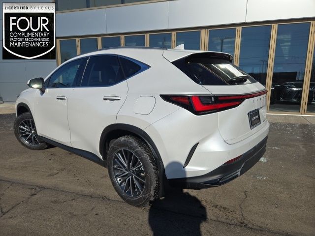 2024 Lexus NX 250 Premium