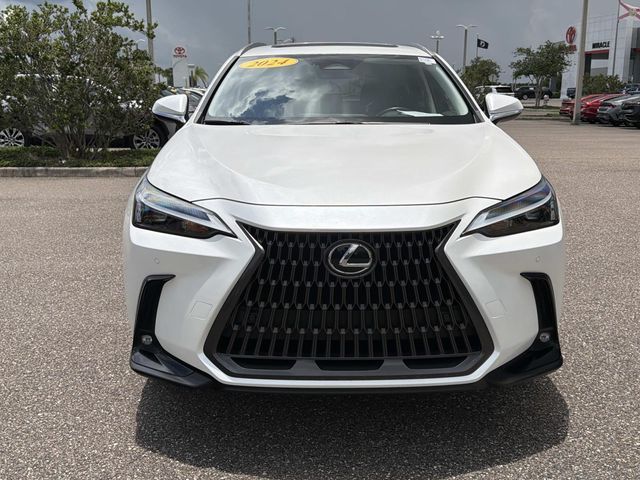 2024 Lexus NX 250 Premium