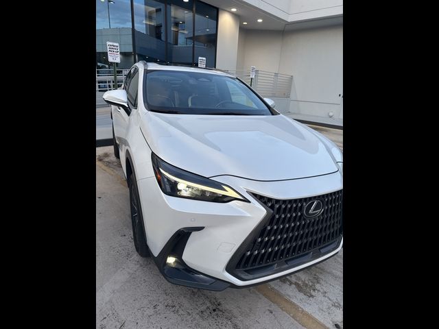 2024 Lexus NX 250 Premium