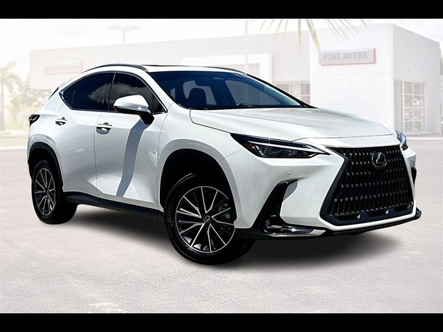 2024 Lexus NX 250 Premium