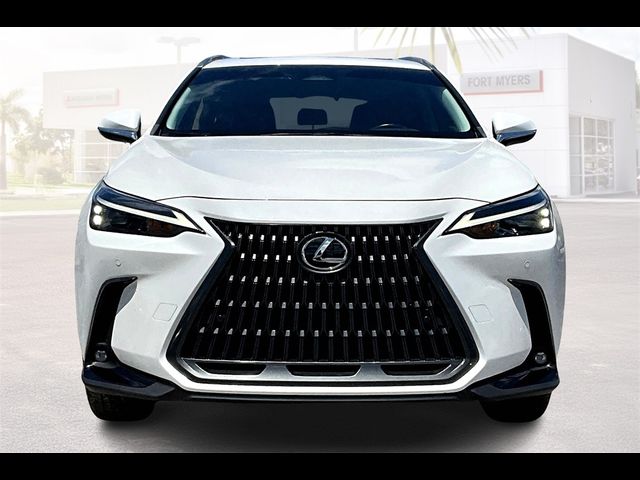 2024 Lexus NX 250 Premium