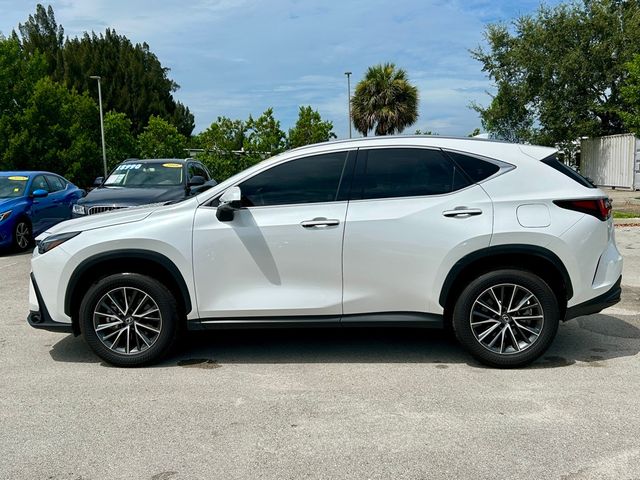 2024 Lexus NX 250 Premium