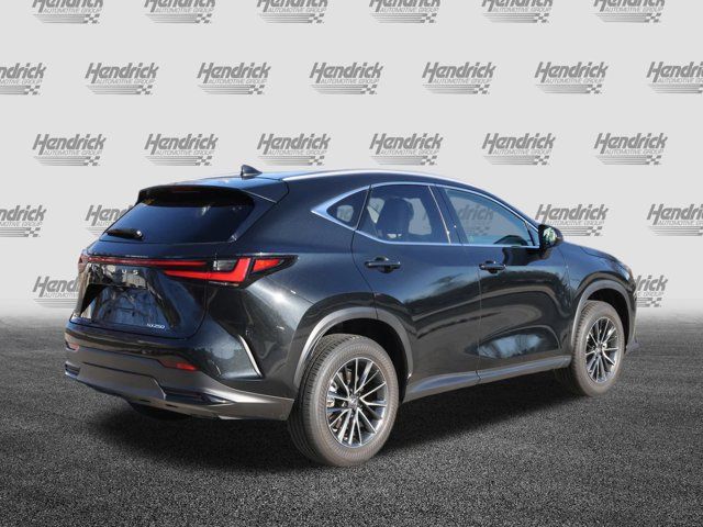 2024 Lexus NX 250 Premium