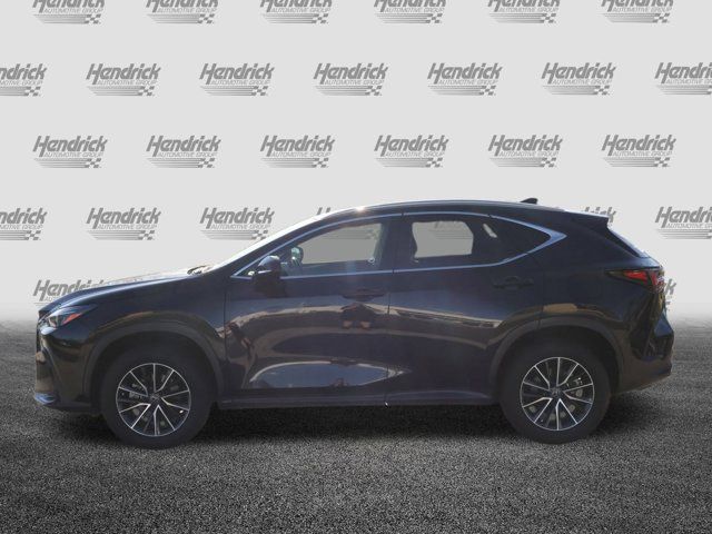 2024 Lexus NX 250 Premium