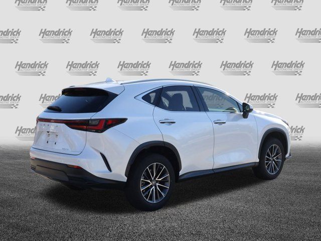 2024 Lexus NX 250 Premium