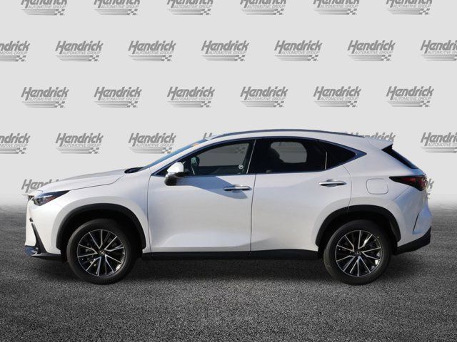 2024 Lexus NX 250 Premium