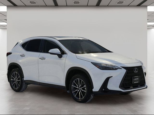 2024 Lexus NX 250 Premium