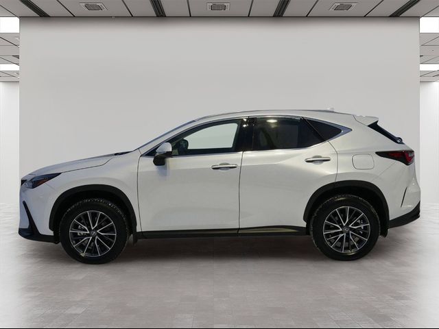 2024 Lexus NX 250 Premium