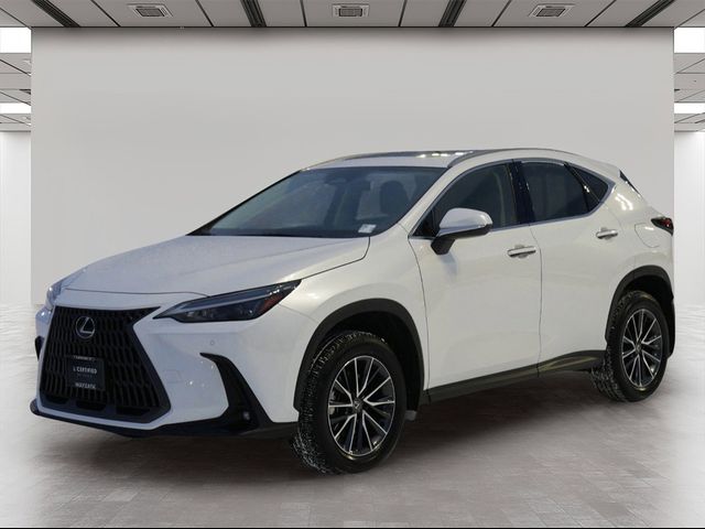 2024 Lexus NX 250 Premium