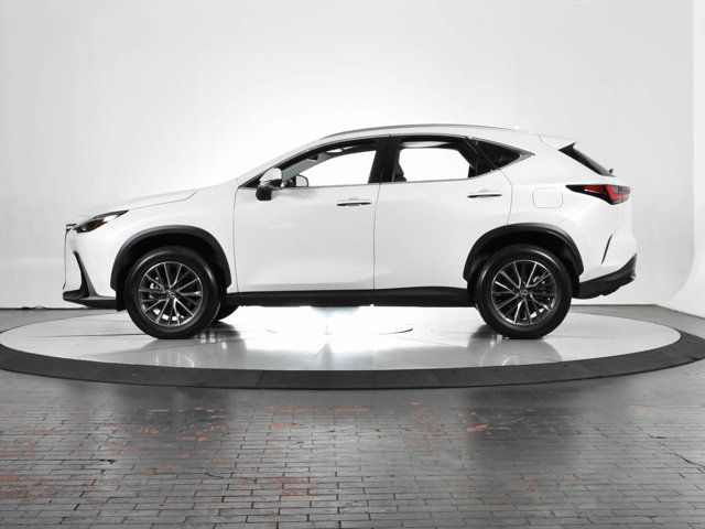 2024 Lexus NX 250 Premium