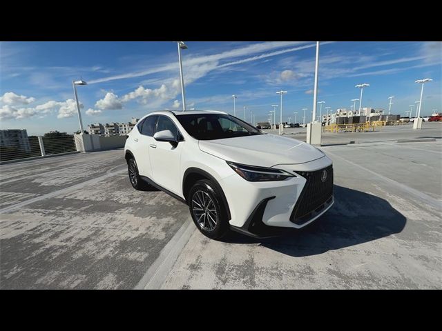 2024 Lexus NX 250 Premium