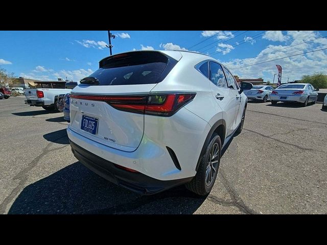 2024 Lexus NX 250 Premium