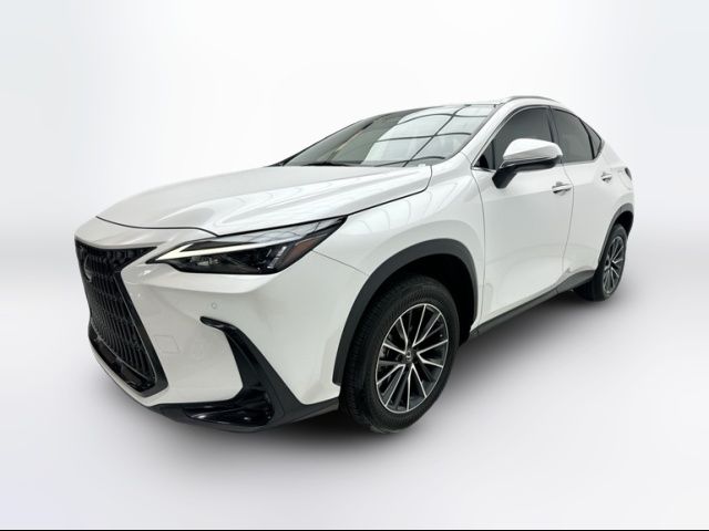 2024 Lexus NX 250 Premium