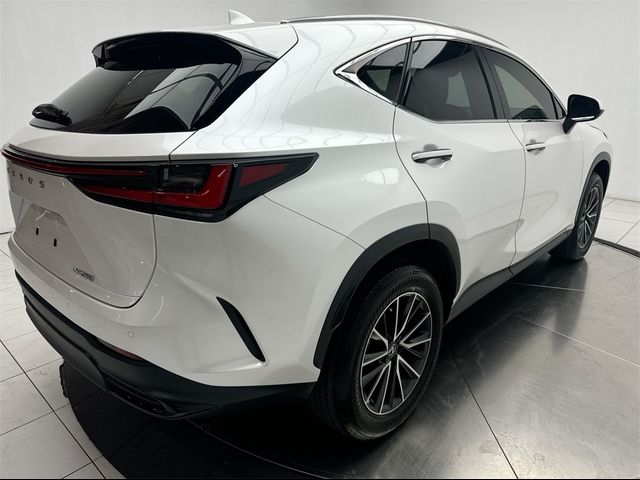 2024 Lexus NX 250 Premium