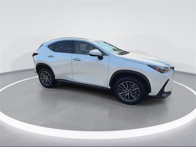 2024 Lexus NX 250 Premium