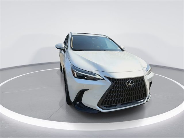 2024 Lexus NX 250 Premium