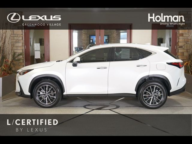 2024 Lexus NX 250 Premium