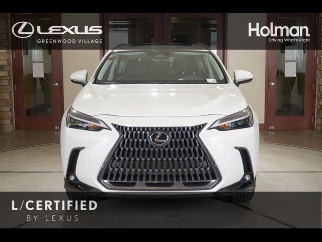 2024 Lexus NX 250 Premium