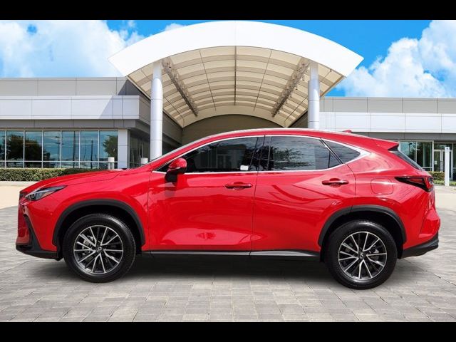 2024 Lexus NX 250 Premium