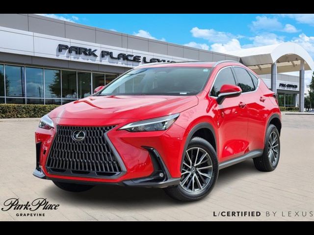 2024 Lexus NX 250 Premium