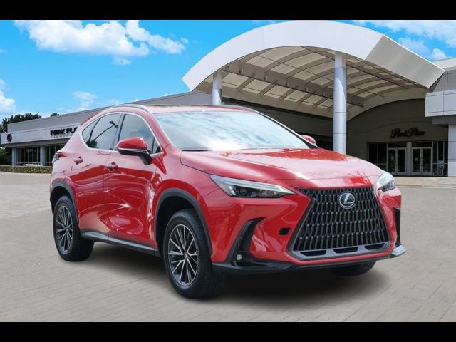 2024 Lexus NX 250 Premium