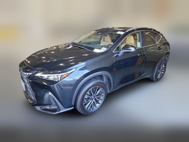 2024 Lexus NX 250 Premium