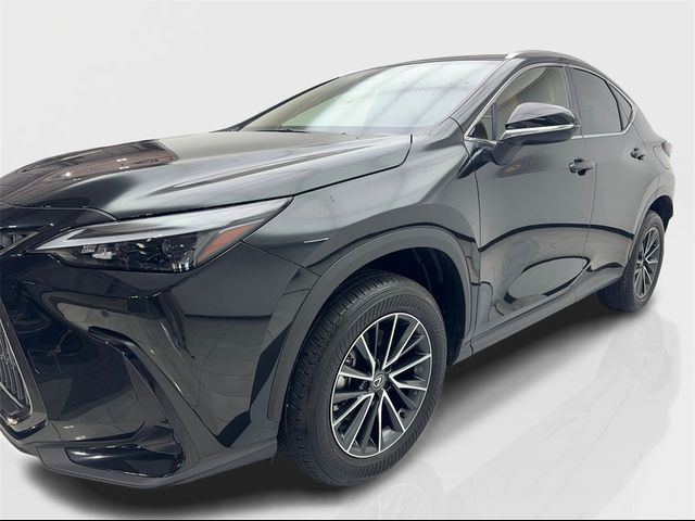 2024 Lexus NX 250 Premium