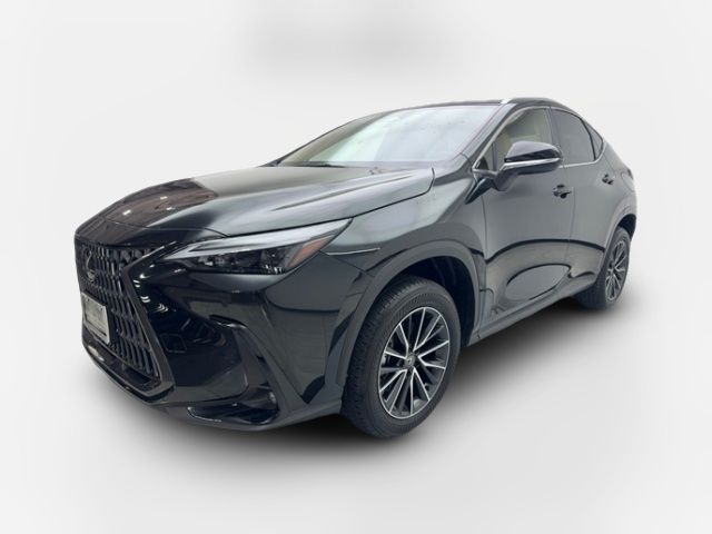 2024 Lexus NX 250 Premium