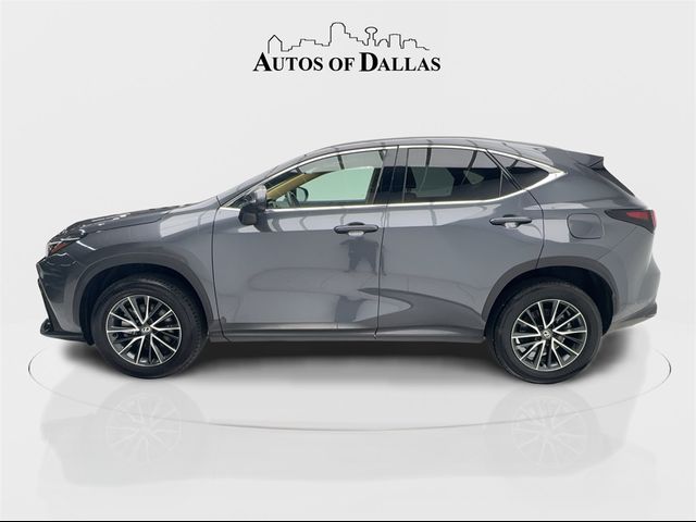 2024 Lexus NX 250 Premium