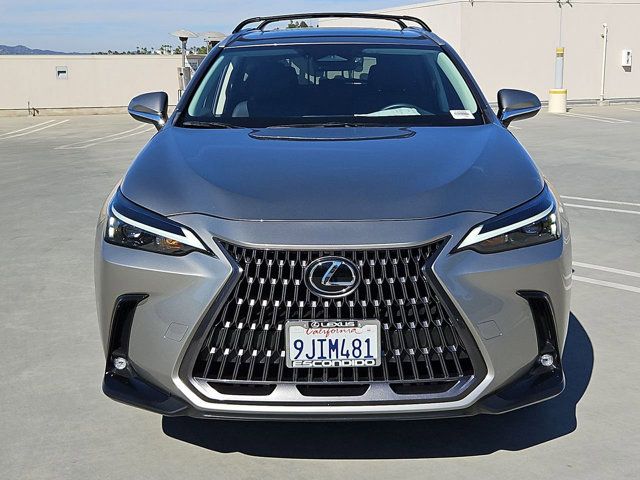 2024 Lexus NX 350