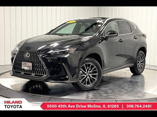 2024 Lexus NX 350