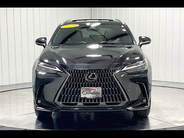 2024 Lexus NX 350