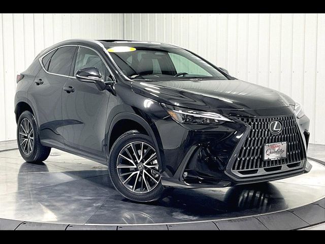 2024 Lexus NX 350