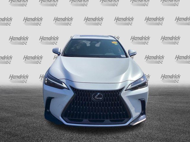 2024 Lexus NX 350