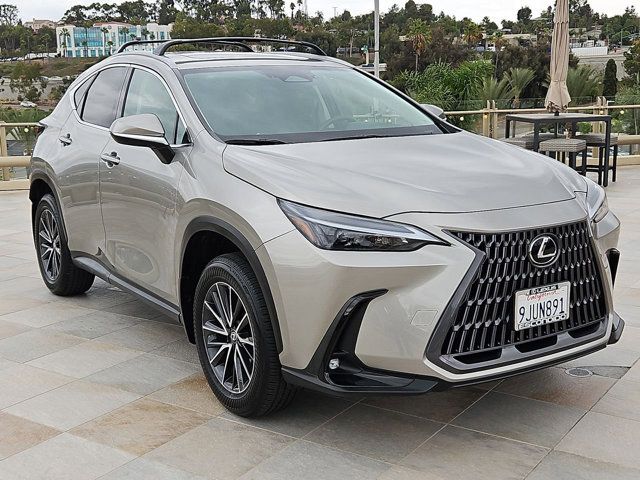 2024 Lexus NX 350