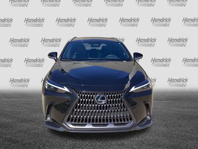 2024 Lexus NX 350