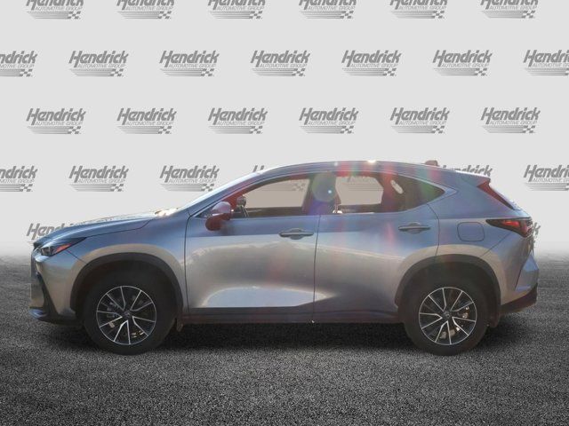 2024 Lexus NX 350