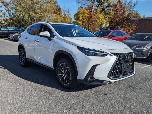 2024 Lexus NX 350