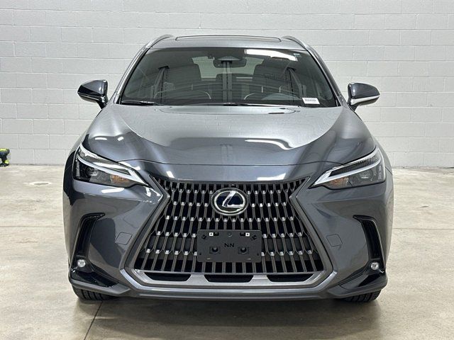 2024 Lexus NX 350