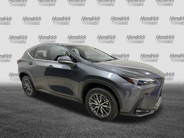 2024 Lexus NX 350