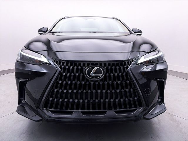 2024 Lexus NX 350