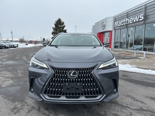 2024 Lexus NX 350
