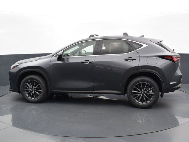 2024 Lexus NX 350