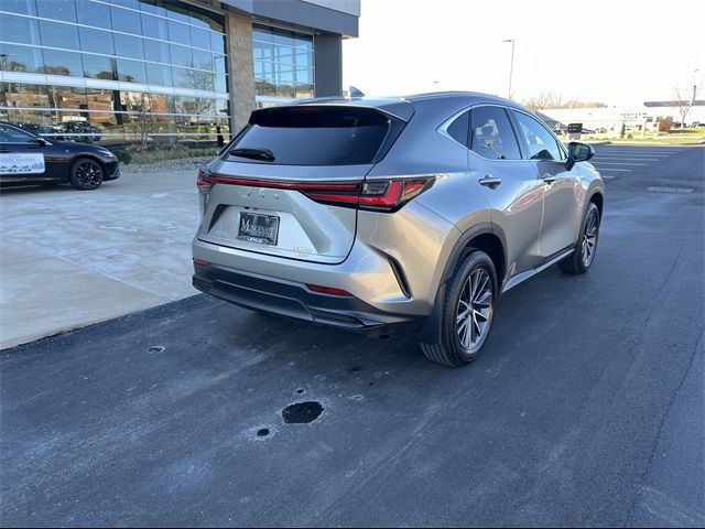 2024 Lexus NX 350