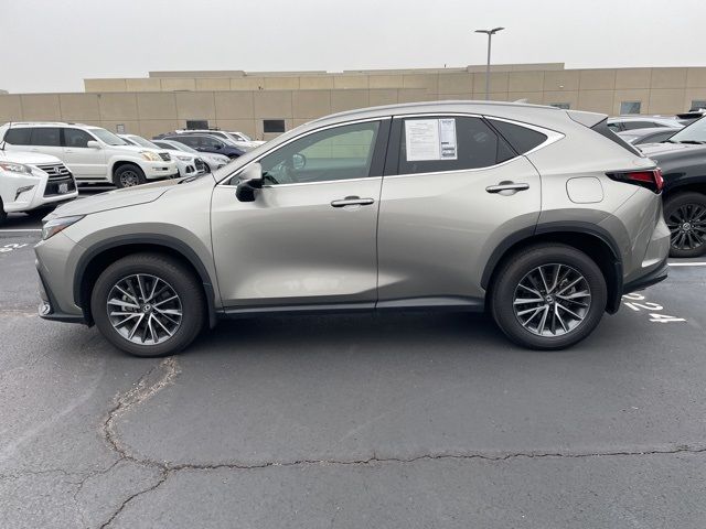 2024 Lexus NX 350