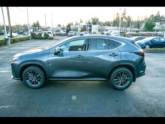 2024 Lexus NX 350