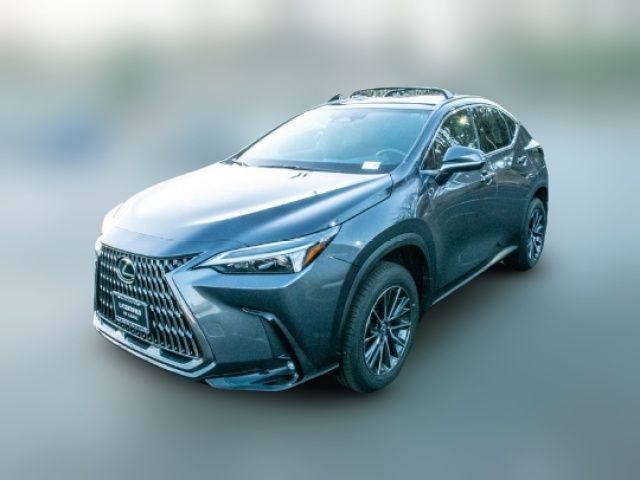 2024 Lexus NX 350